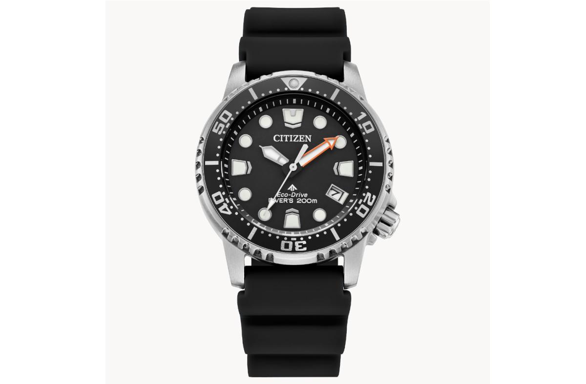 Citizen Watch Promaster Dive Black Dial